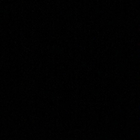 Meet your Posher, Kenzie - Picture 1 of 1